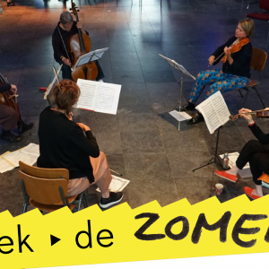 THE NORTHERN CONSORT - Fiesta Boccherini!