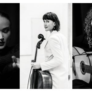 Afgelast: Mascha van Nieuwkerk, Jeff Heijne en Conchita Boon