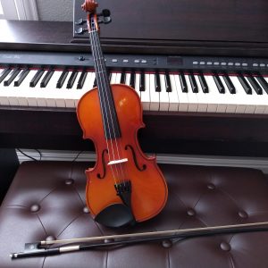 Piano- en viooldag