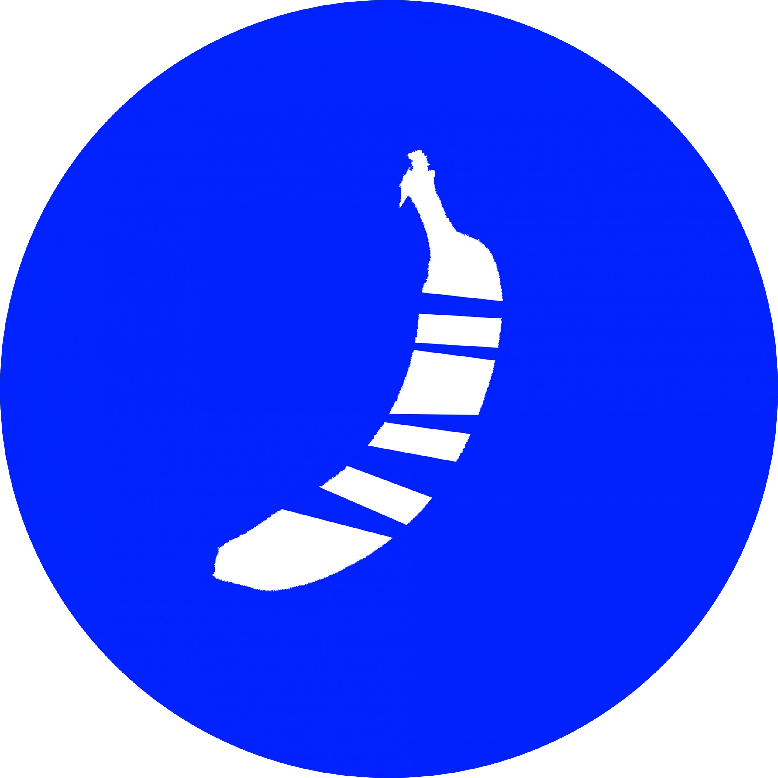 TELEPORT (Eva van Pelt & Koen Wijnen) + Femke Teussink
