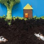 Onder de Grond | Theatergroep Wie Walvis