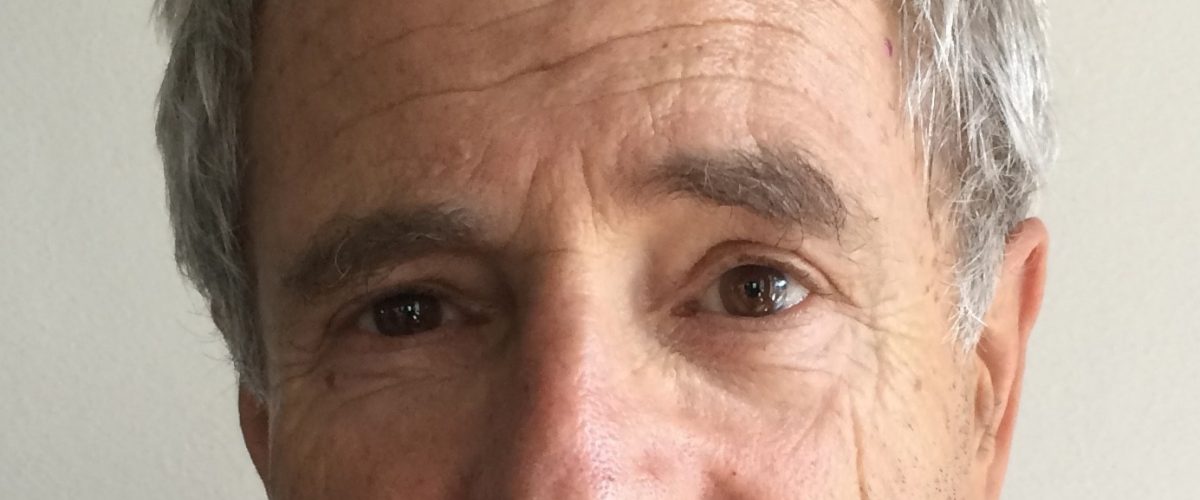 Peter en de Wolf – 2e voorstelling
