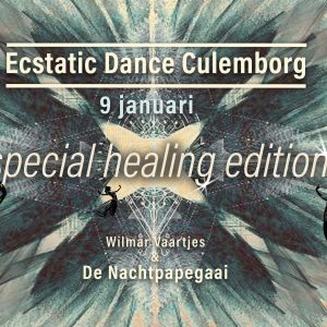 Ecstatic Dance - DJ de Nachtpapegaai en Wilmar Vaartjes