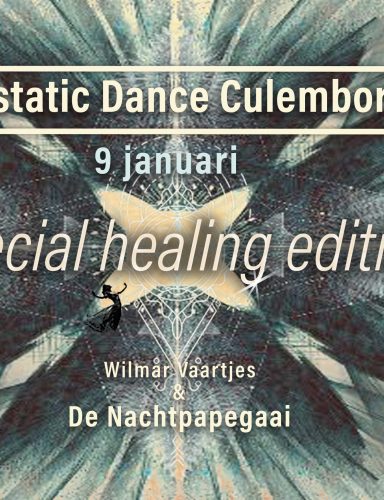 Ecstatic Dance – DJ de Nachtpapegaai en Wilmar Vaartjes