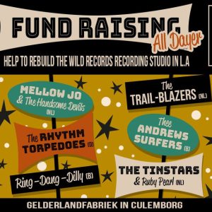 Wild Records Fund Raising | festival