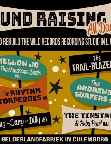 Wild Records Fund Raising | festival