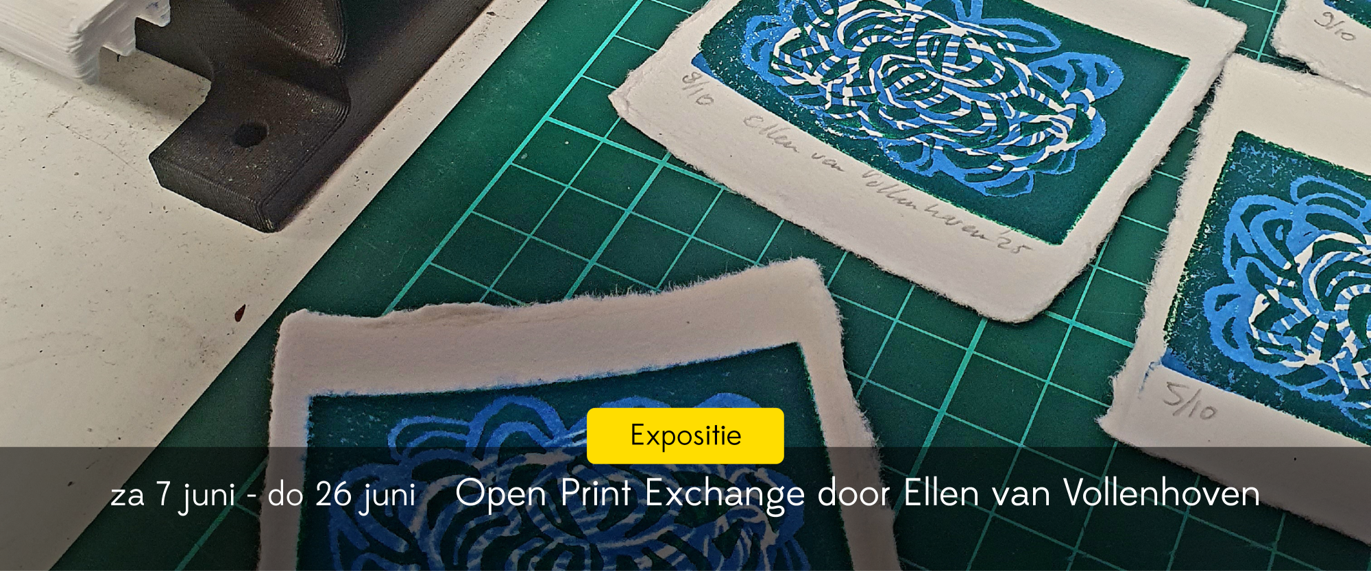 expositie ellen van vollenhoven