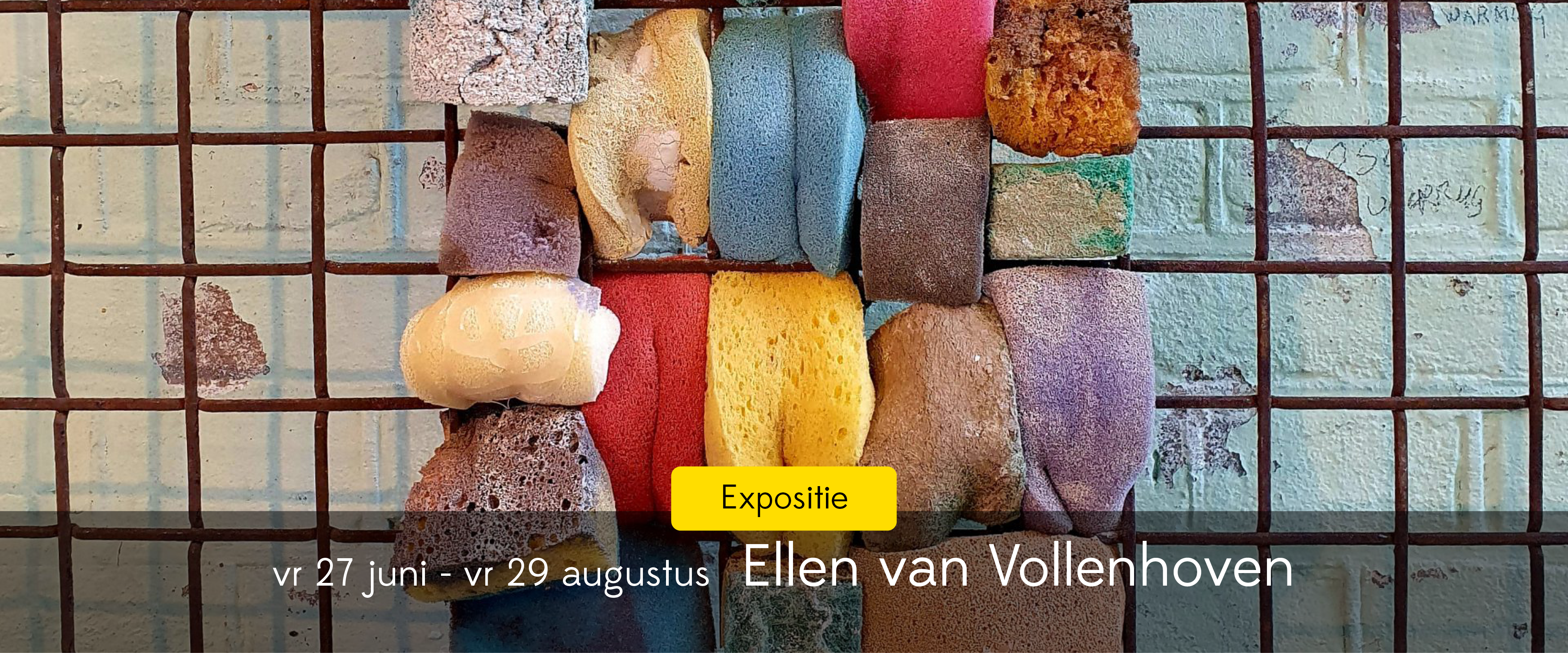 expo – ellen
